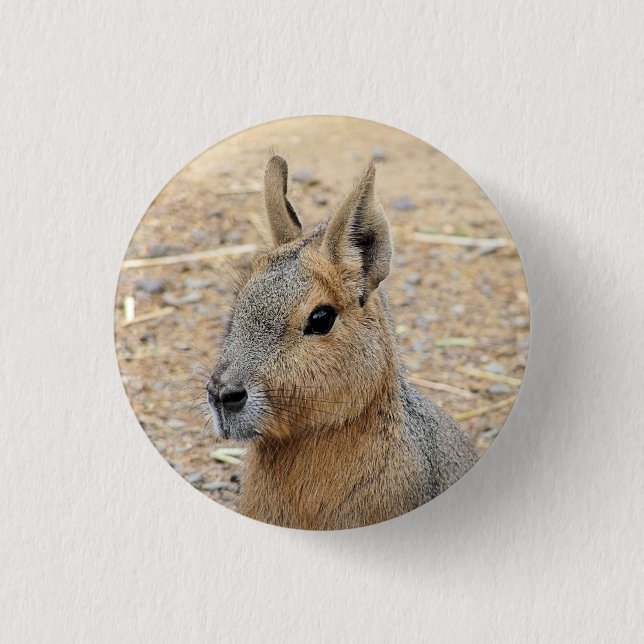 PATAGONIAN MARA KNAPP (Framsida)
