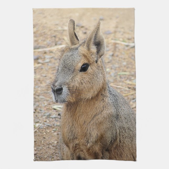 PATAGONIAN MARA KÖKSHANDDUK (Vertikal)
