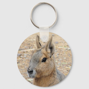 PATAGONIAN MARA NYCKELRING