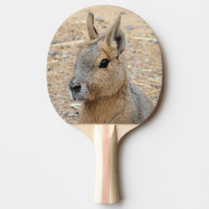 PATAGONIAN MARA PINGISRACKET