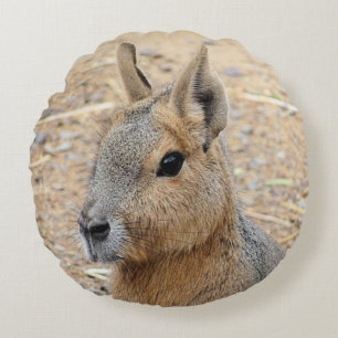 PATAGONIAN MARA RUND KUDDE