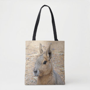 PATAGONIAN MARA TYGKASSE