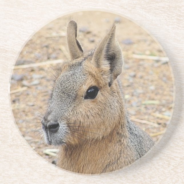 PATAGONIAN MARA UNDERLÄGG (Framsidan)