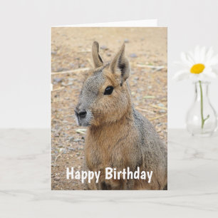 PATAGONIAN MARA VILD ANIMAL KORT