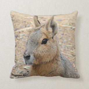 PATAGONIAN MARA VILD ANIMAL KUDDE