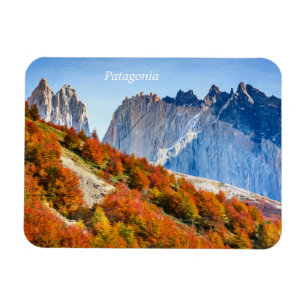 Patagonien Magnet
