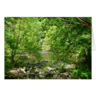 Patapsco River View Maryland Natature Photogratogr Hälsningskort