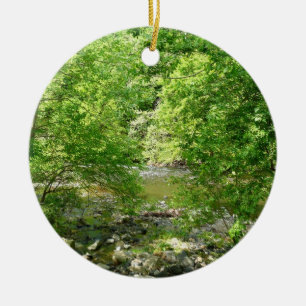 Patapsco River View Maryland Natature Photogratogr Julgransprydnad Keramik