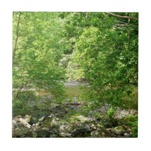 Patapsco River View Maryland Natature Photogratogr Kakelplatta