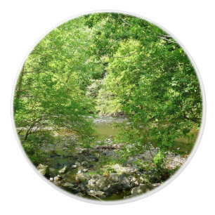 Patapsco River View Maryland Natature Photogratogr Knopp