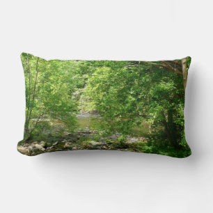 Patapsco River View Maryland Natature Photogratogr Lumbarkudde
