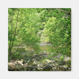 Patapsco River View Maryland Natature Photogratogr Magnet