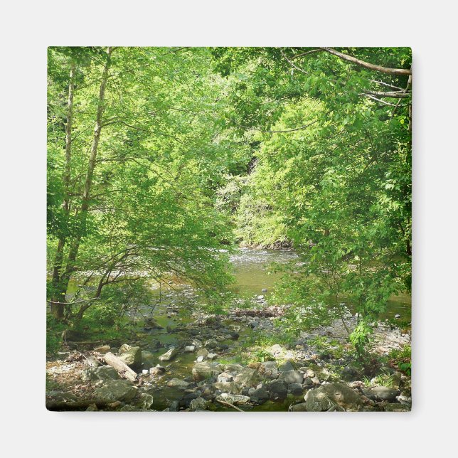 Patapsco River View Maryland Natature Photogratogr Magnet (Framsidan)