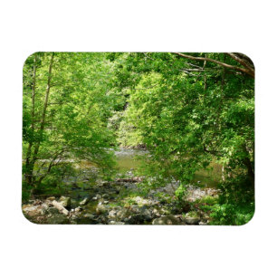 Patapsco River View Maryland Natature Photogratogr Magnet