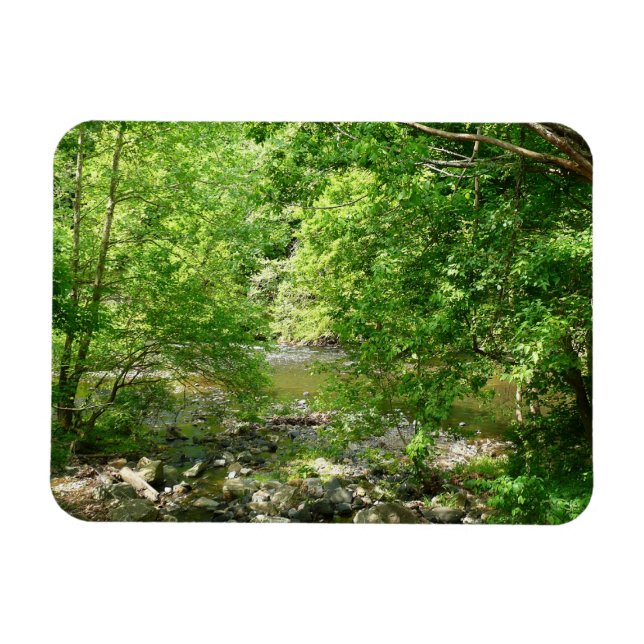 Patapsco River View Maryland Natature Photogratogr Magnet (Horisontell)