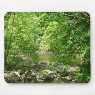 Patapsco River View Maryland Natature Photogratogr Musmatta