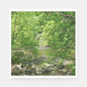 Patapsco River View Maryland Natature Photogratogr Pappersservett