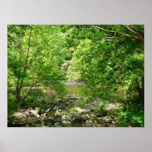 Patapsco River View Maryland Natature Photogratogr Poster