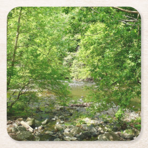 Patapsco River View Maryland Natature Photogratogr Underlägg Papper Kvadrat