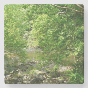Patapsco River View Maryland Natature Photogratogr Underlägg Sten