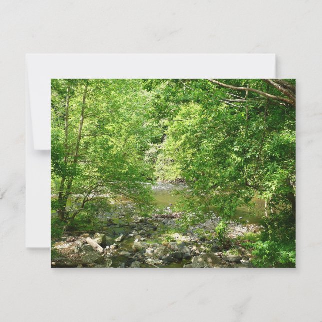 Patapsco River View Maryland Naturfotografering (Framsida)