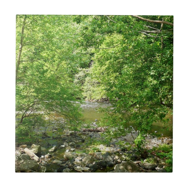 Patapsco River View Maryland Naturfotografering Kakelplatta (Framsidan)