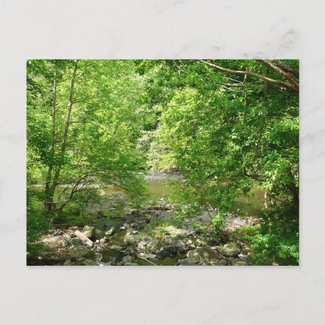 Patapsco River View Maryland Naturfotografering Vykort (Framsida)