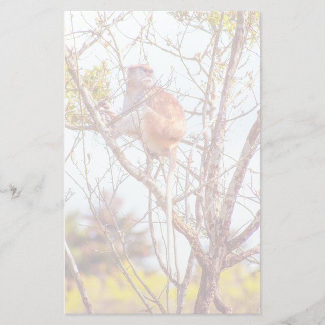 Patas är Up a Träd Brevpapper (Framsida)