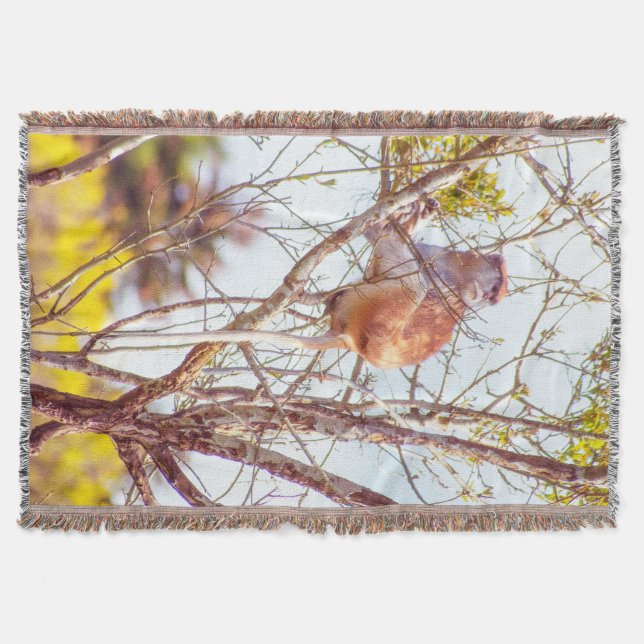 Patas är Up a Träd Filt (Framsidan)