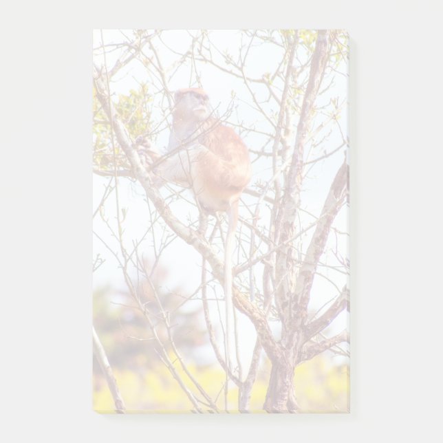 Patas är Up a Träd Post-it Block (Framsida)