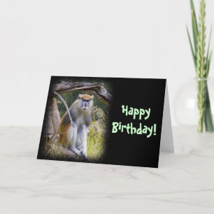 Patas Monkey Birthday Kort