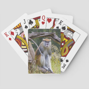 Patas Monkey Spelkort