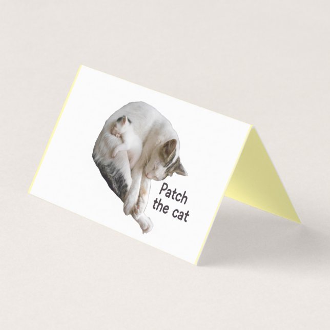 PATCH THE CAT and HER KITTEN Kort (Framsida)