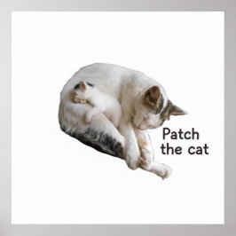 PATCH THE CAT and HER KITTEN Poster
