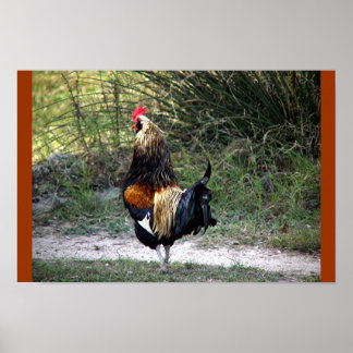 PATCH WORK TUPP! POSTER