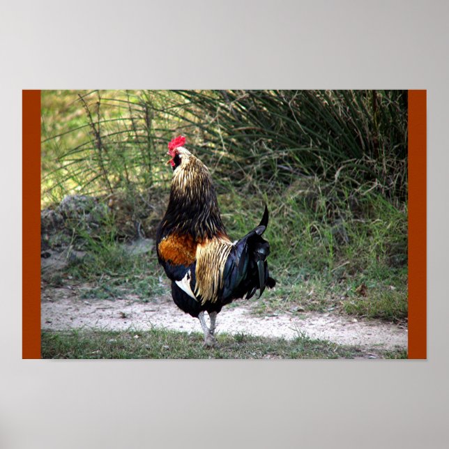 PATCH WORK TUPP! POSTER (Framsidan)