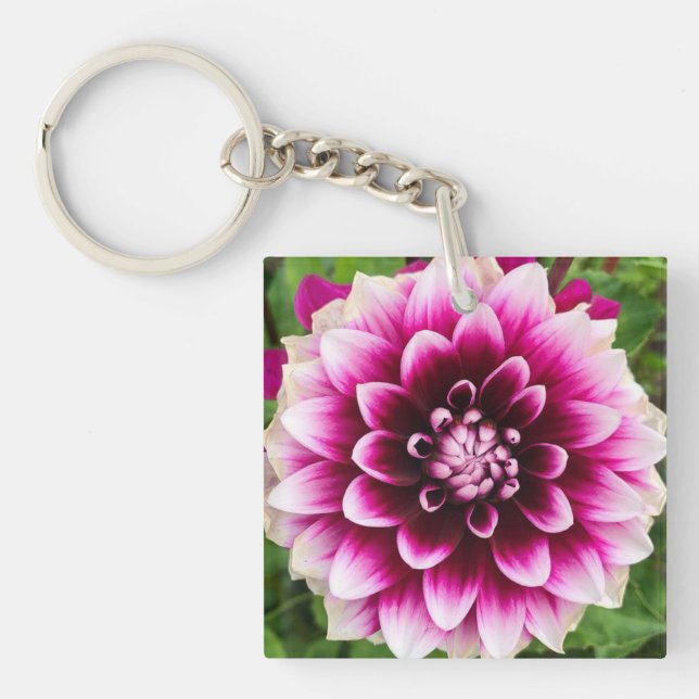 Patches Dahlia (Framsidan)