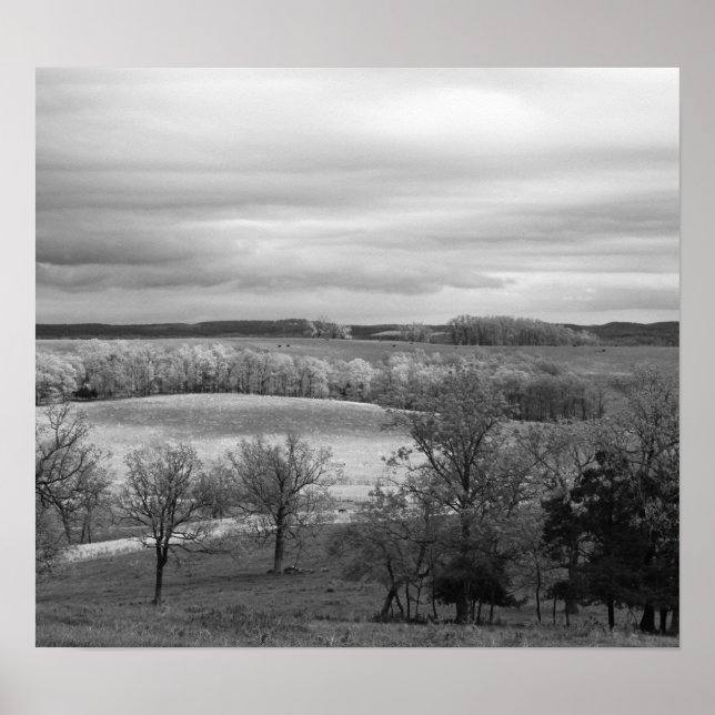 Patches of Sun Poster (Framsidan)