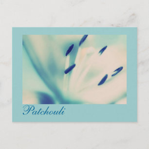 Patchouli Lily Postcard Blommigt Digital Art Vykort