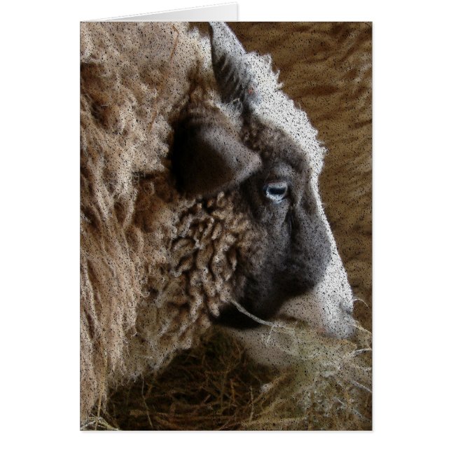 Patchwork Amy Hälsningskort (Framsidan)