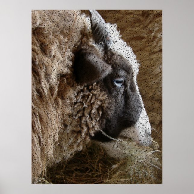 Patchwork Amy Poster (Framsidan)