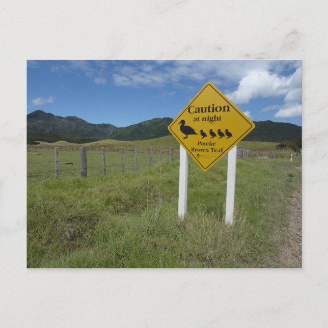 Pateke-vykort 3 vykort (Framsida)