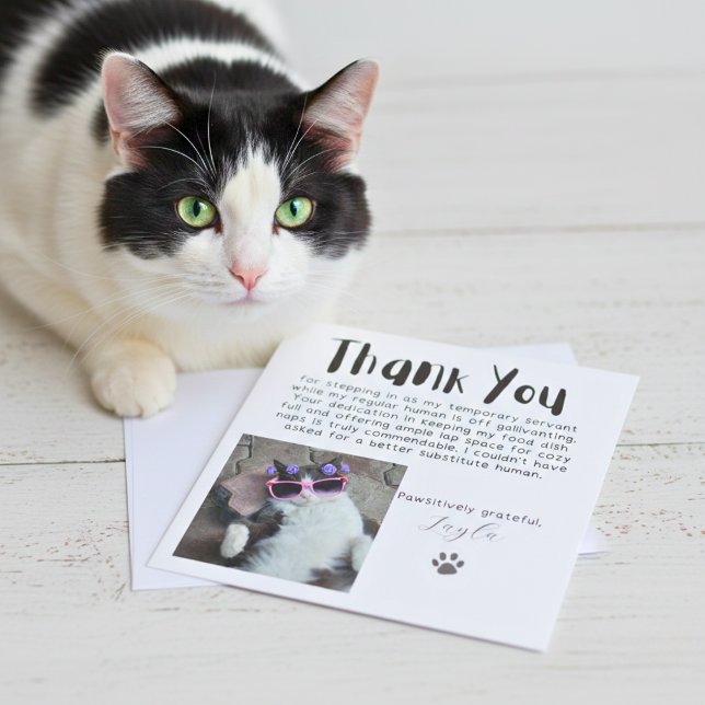 Påtfull Anpassningsbar - tack för ditt kort (Pawsitively Grateful Custom Photo Thank You Card)