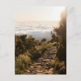 Path above the clouds with golden sunrise, Madeira Vykort