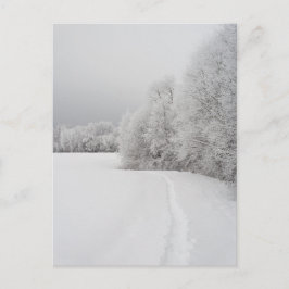 Path in snowy landscape, New Year Holiday Postcard Helg Vykort