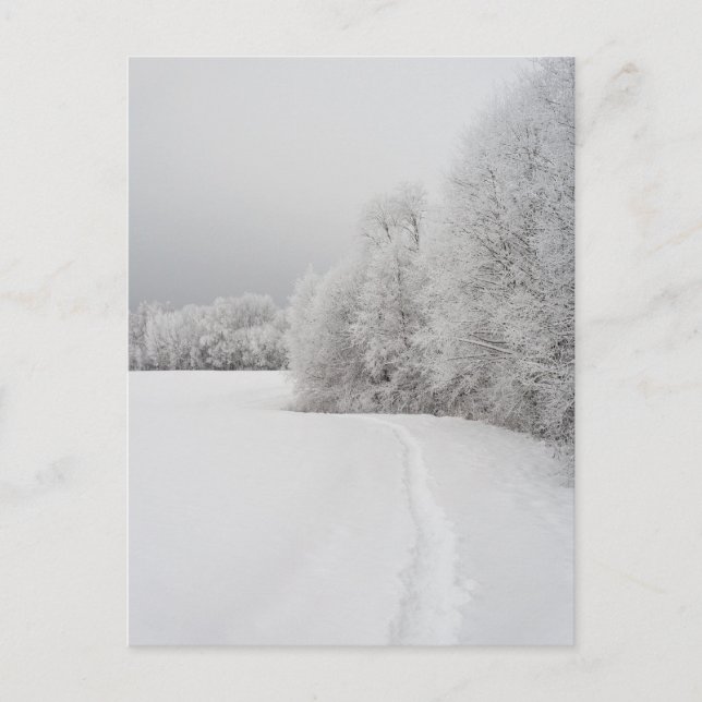 Path in snowy landscape, New Year Holiday Postcard Helg Vykort (Framsida)