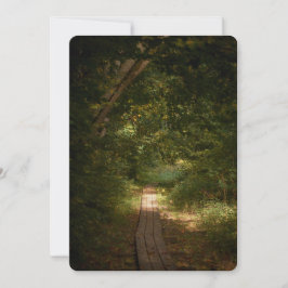 Path through forest julkort