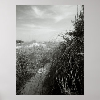 Path Through the Dunes Poster