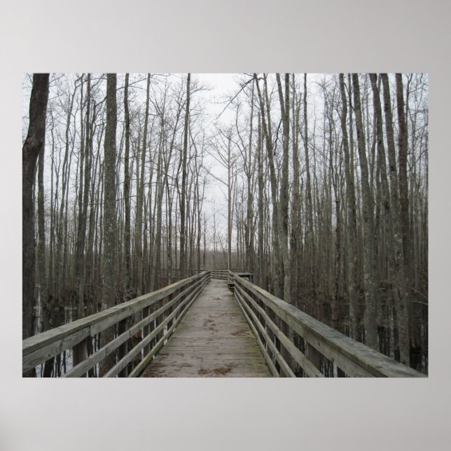 Pathway genom Wilderness Poster (Framsidan)