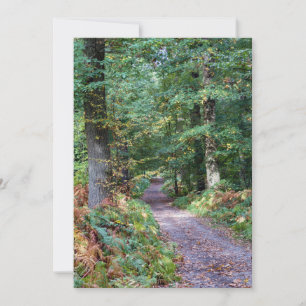 Pathway i höstskogen, Saint Germain Forest Inbjudningar